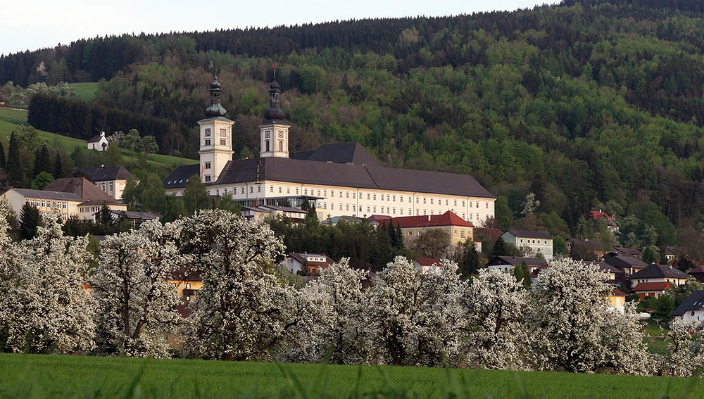 foto-mitterhauser.at, Klaus Mitterhauser