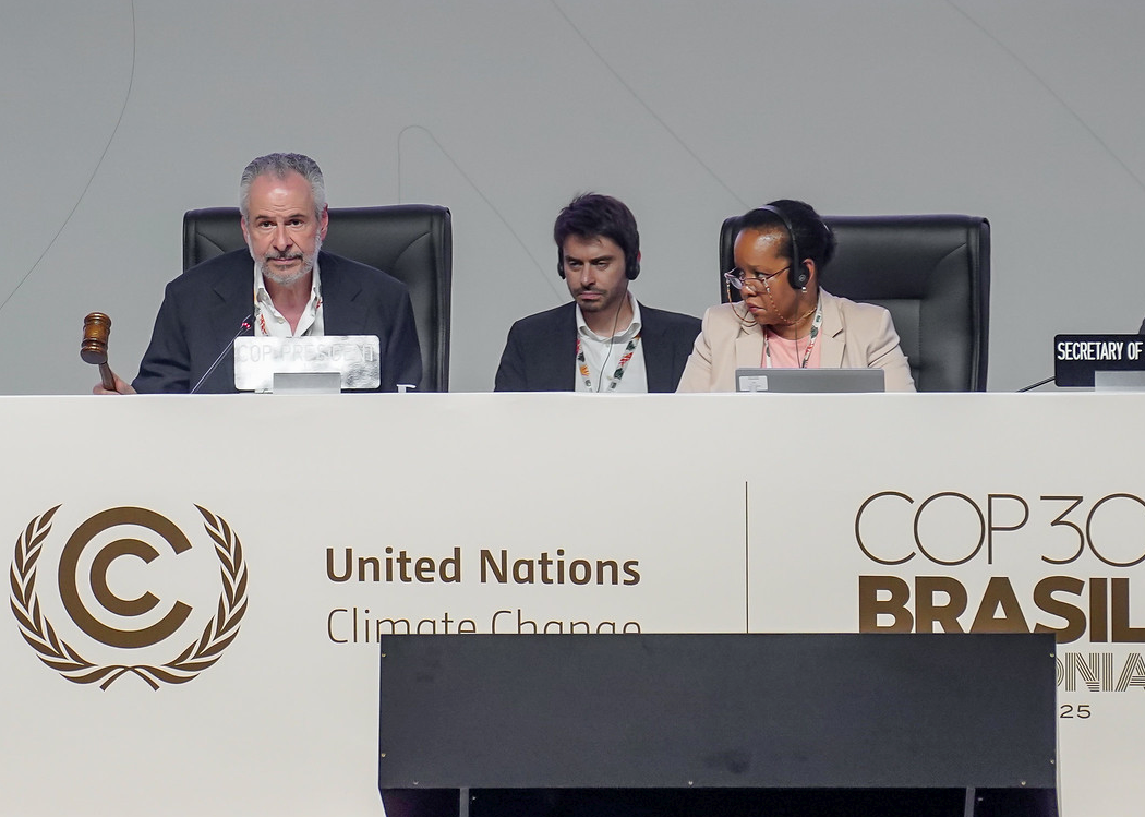 COP30 Closing Plenary / Rafa Neddermeyer,COP30 Brasil Amazônia,PR